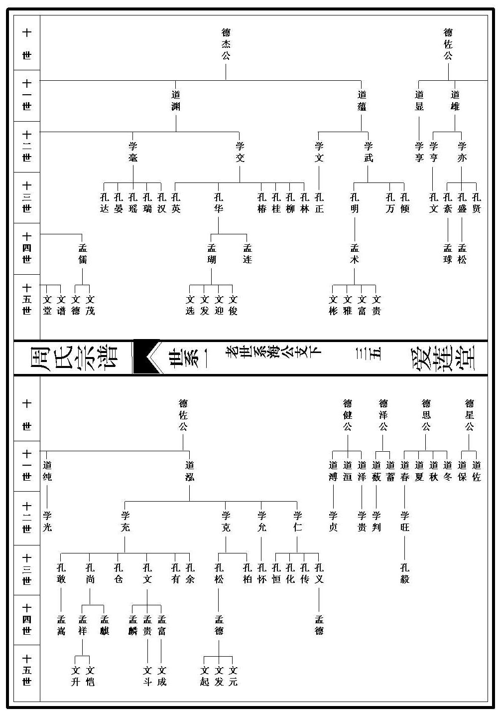 世系图_1_000001_00035
